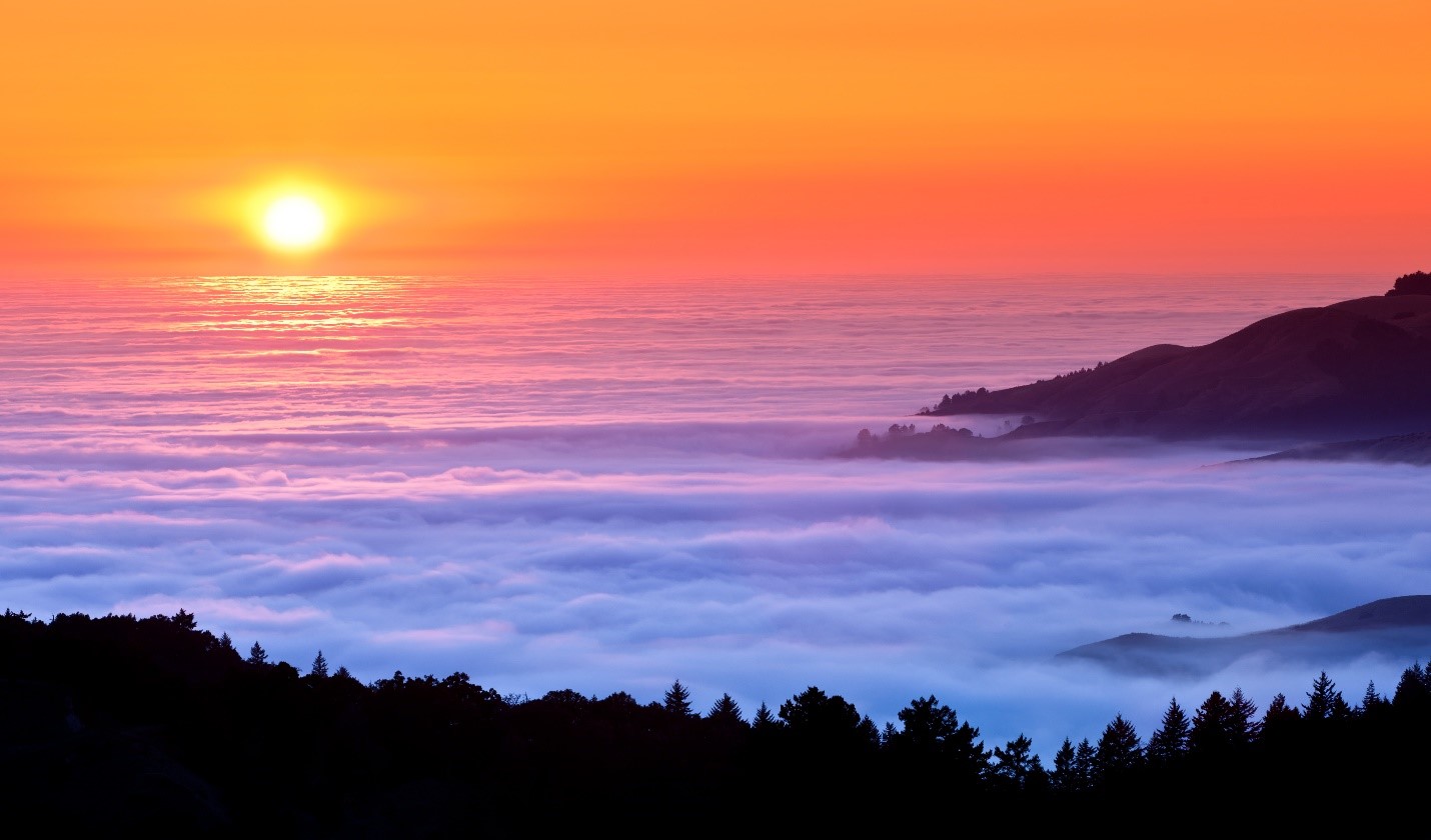 paysage